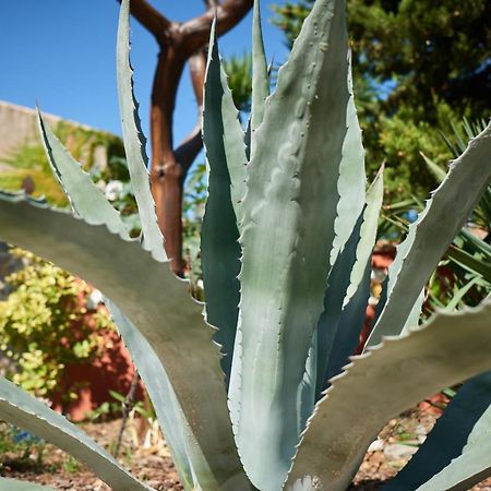 Апартаменты Jardin De Palme La Palme Экстерьер фото