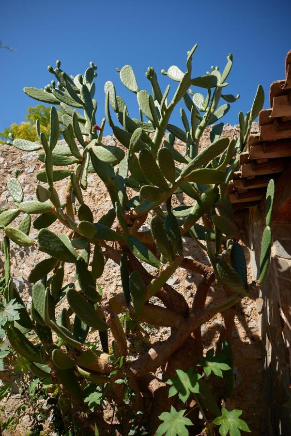 Апартаменты Jardin De Palme La Palme Экстерьер фото